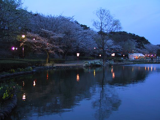 俊足で過ぎた桜