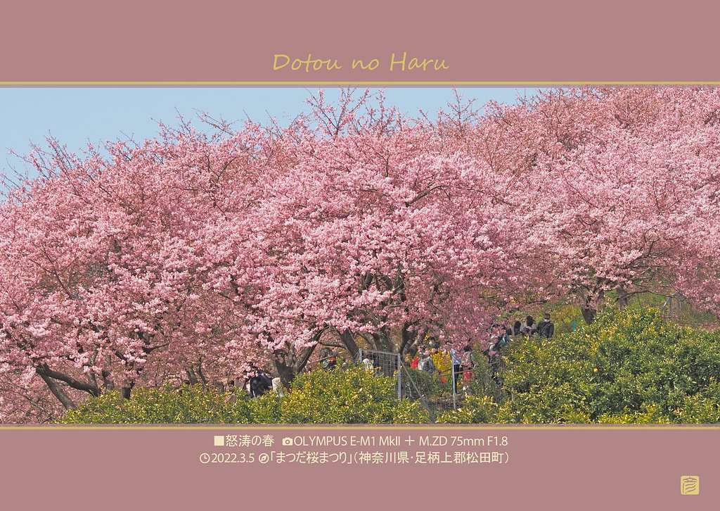 怒濤の春