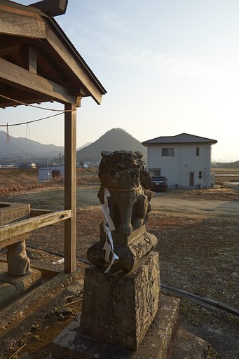 雑感