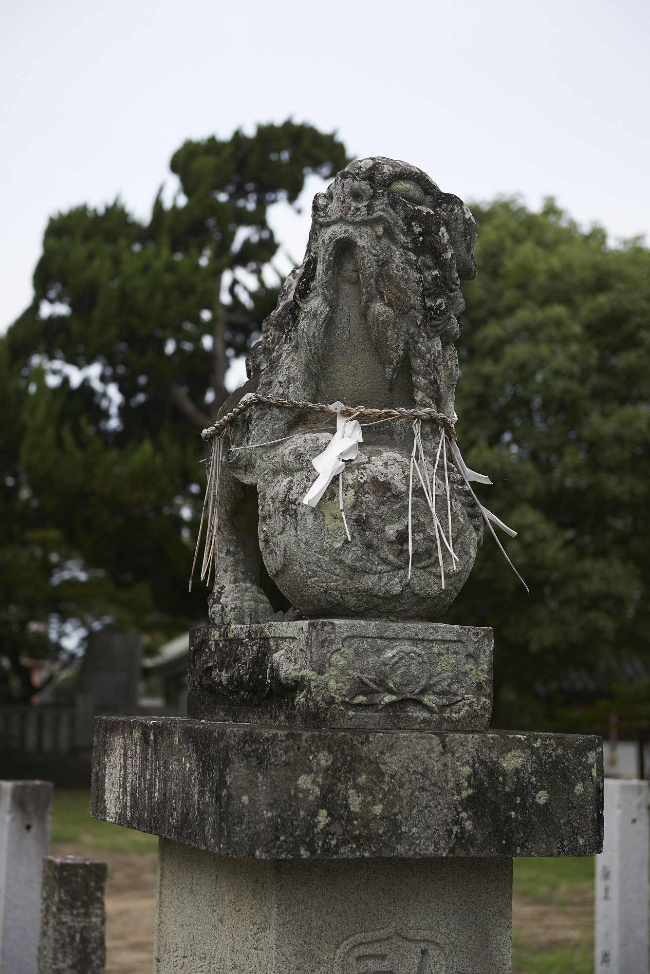 雑感