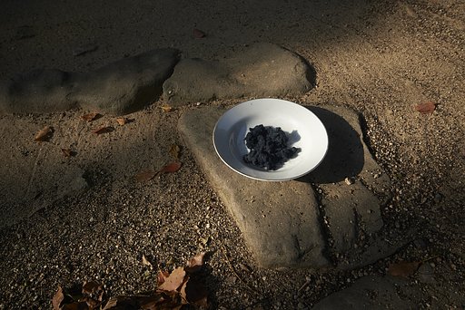 雑感