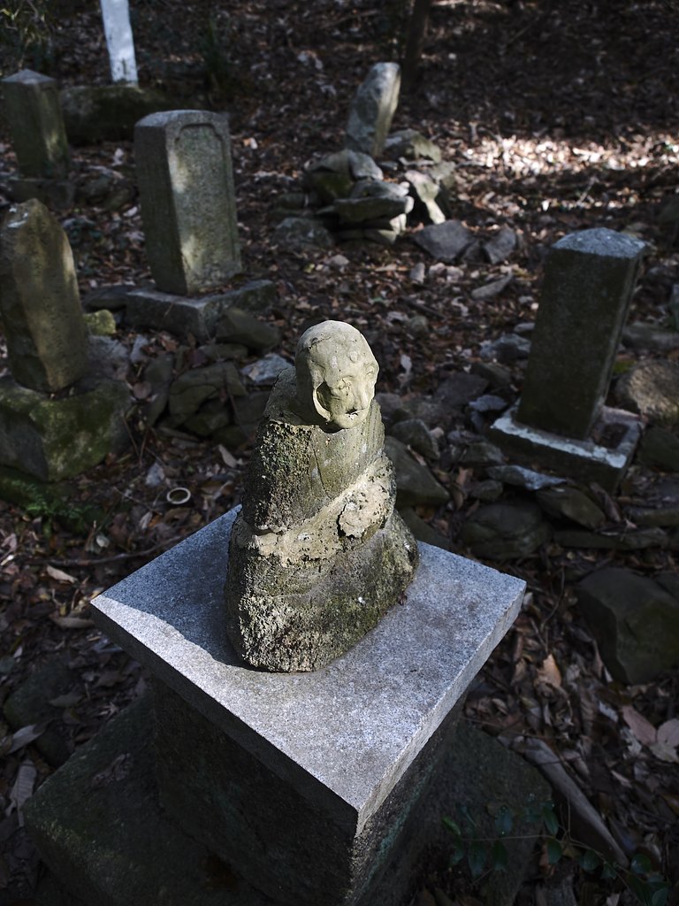 雑感①