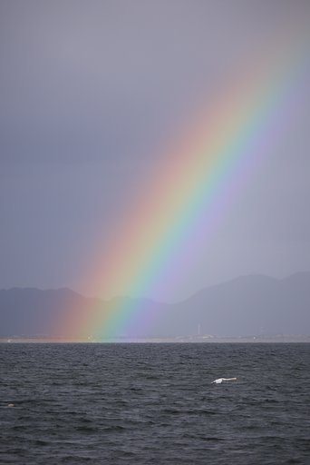 12月13日の写真