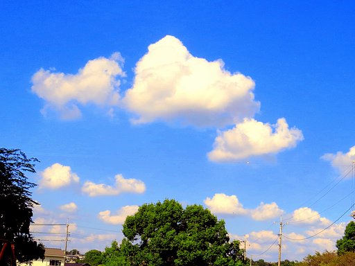 雲