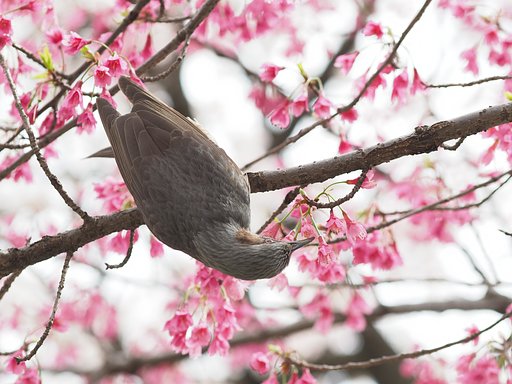 怖いもの知らず