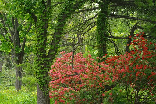 林の中