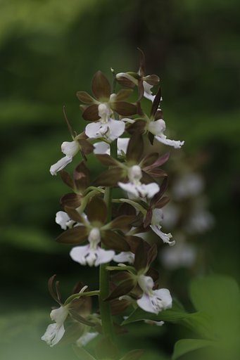 4月13日の写真