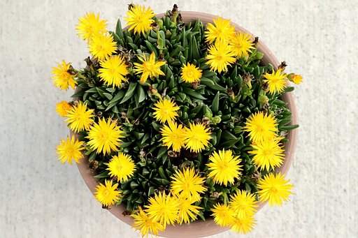 6月30日の写真