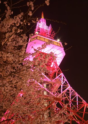 どか〜んと田舎の東京タワー！