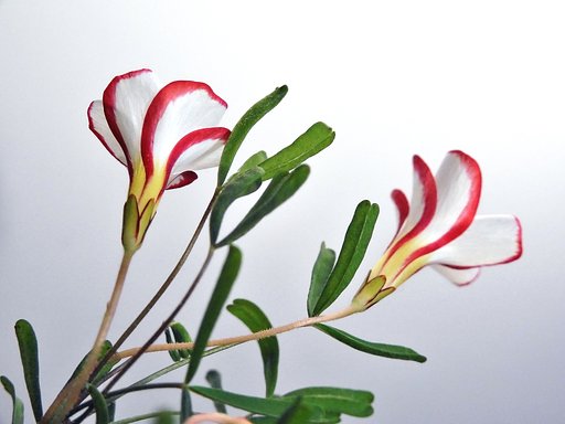 2月16日の写真