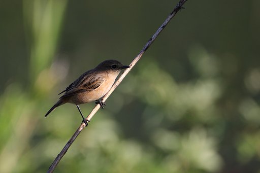 10月22日の写真