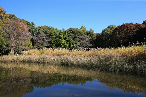 わが町の秋