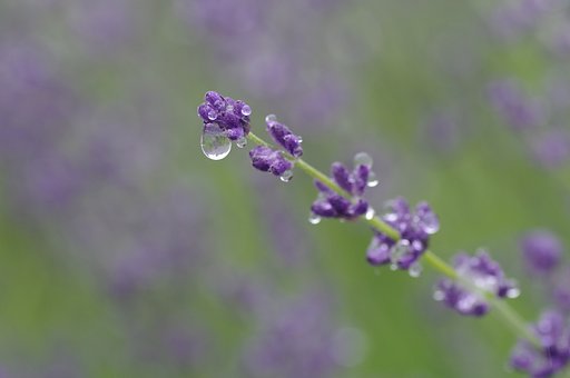 濃霧の幌見峠で