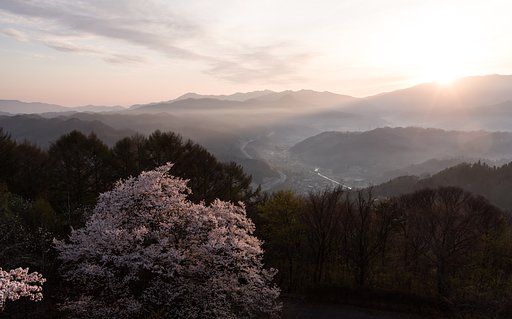 夜明け