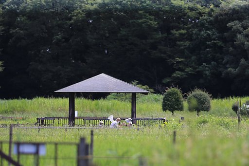 【続・夏】夏の家族