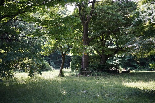 すみれば自然庭園
