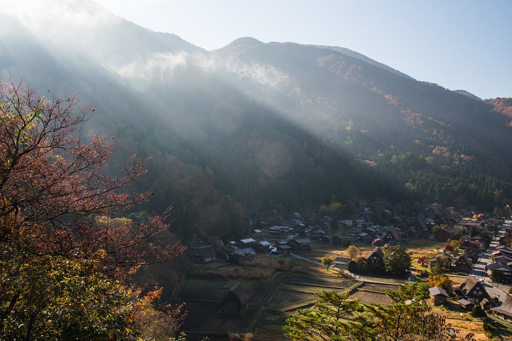 朝陽眩く