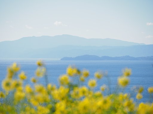 春の調べ