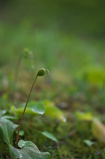 お疲れ様