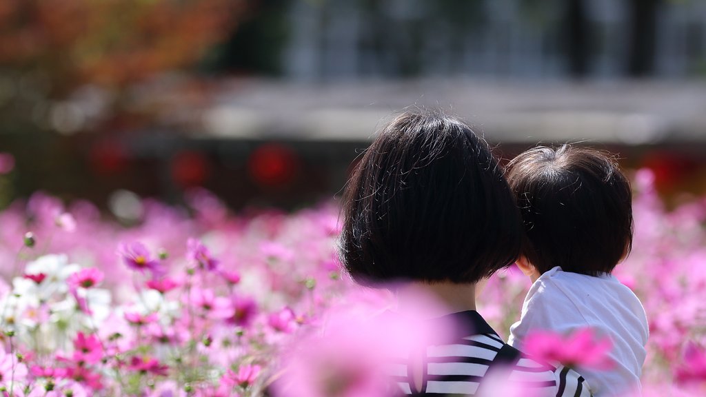 息をのむほどに美しいあなたの世界