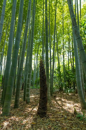 あっと言う間に