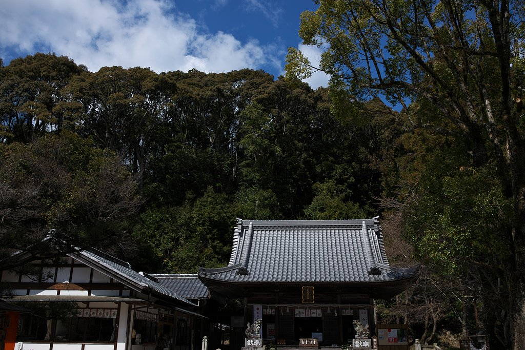 木々に雲流れ