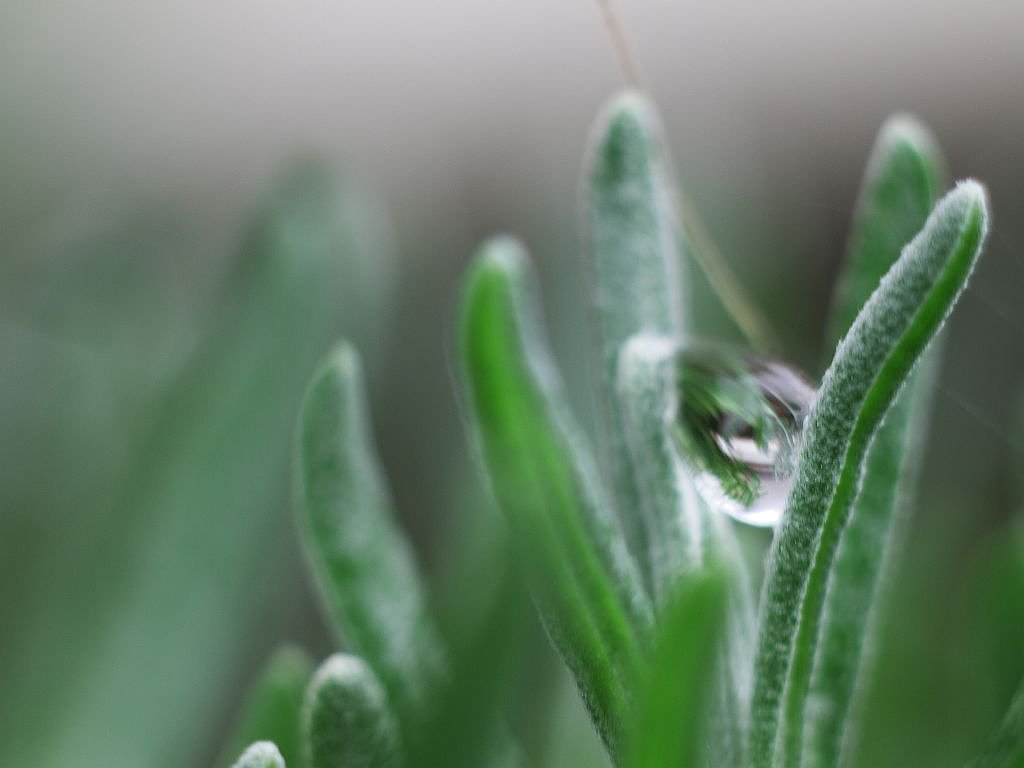 水滴