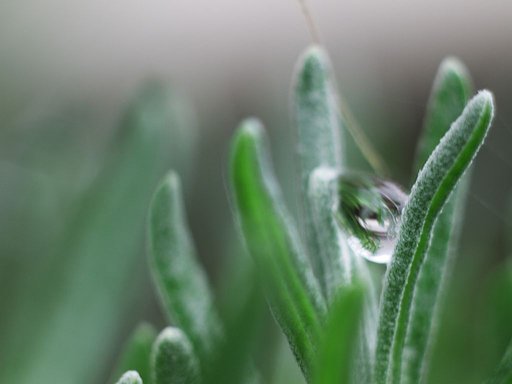 水滴