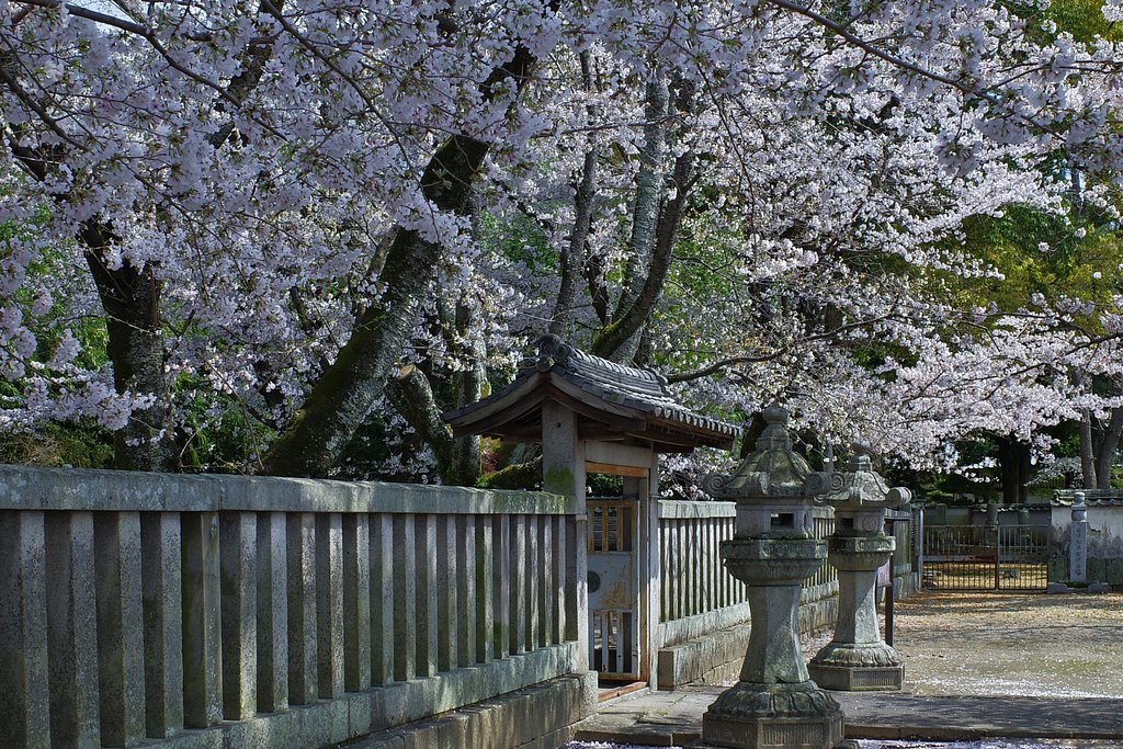 付属レンズ