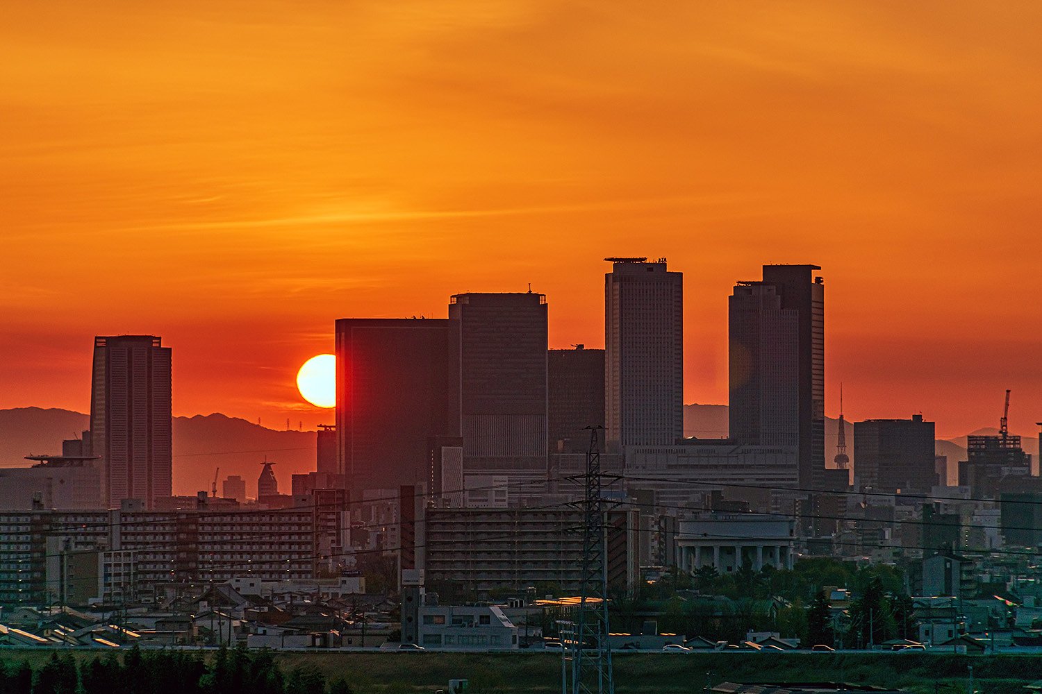 朝景の【はな】④