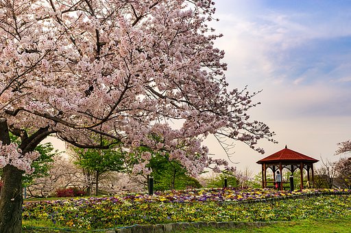 【はな】市民公園