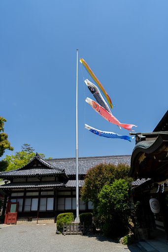 五月晴れ