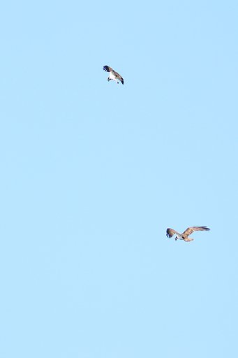 ダブル・ロックオン