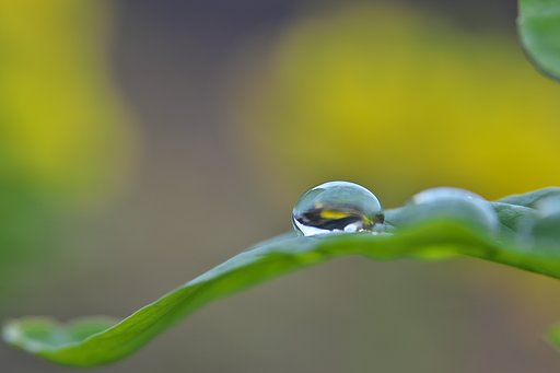 玉座