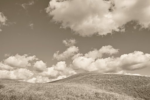 11月9日の写真