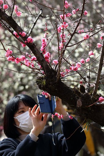 爽やか美人百景・ただひたすらに美しい方2021