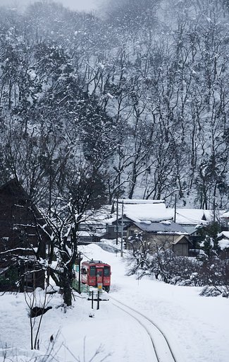 1月4日の写真