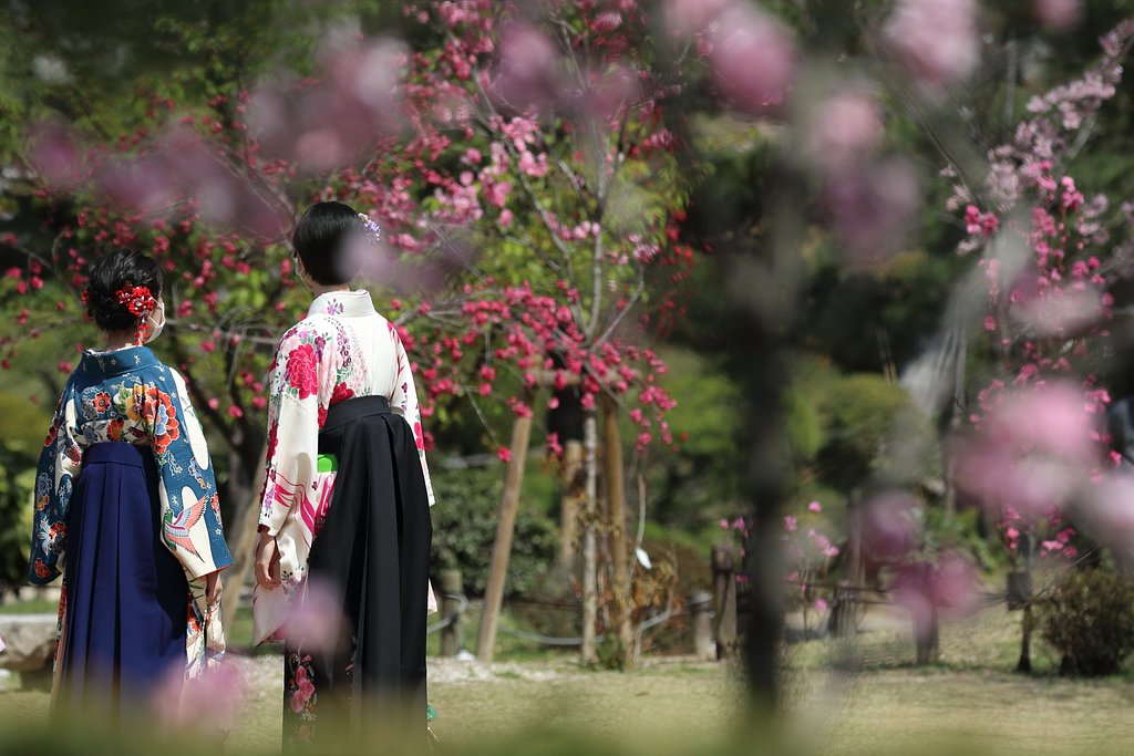 爽やか美人百景・我が流法は前ボケ