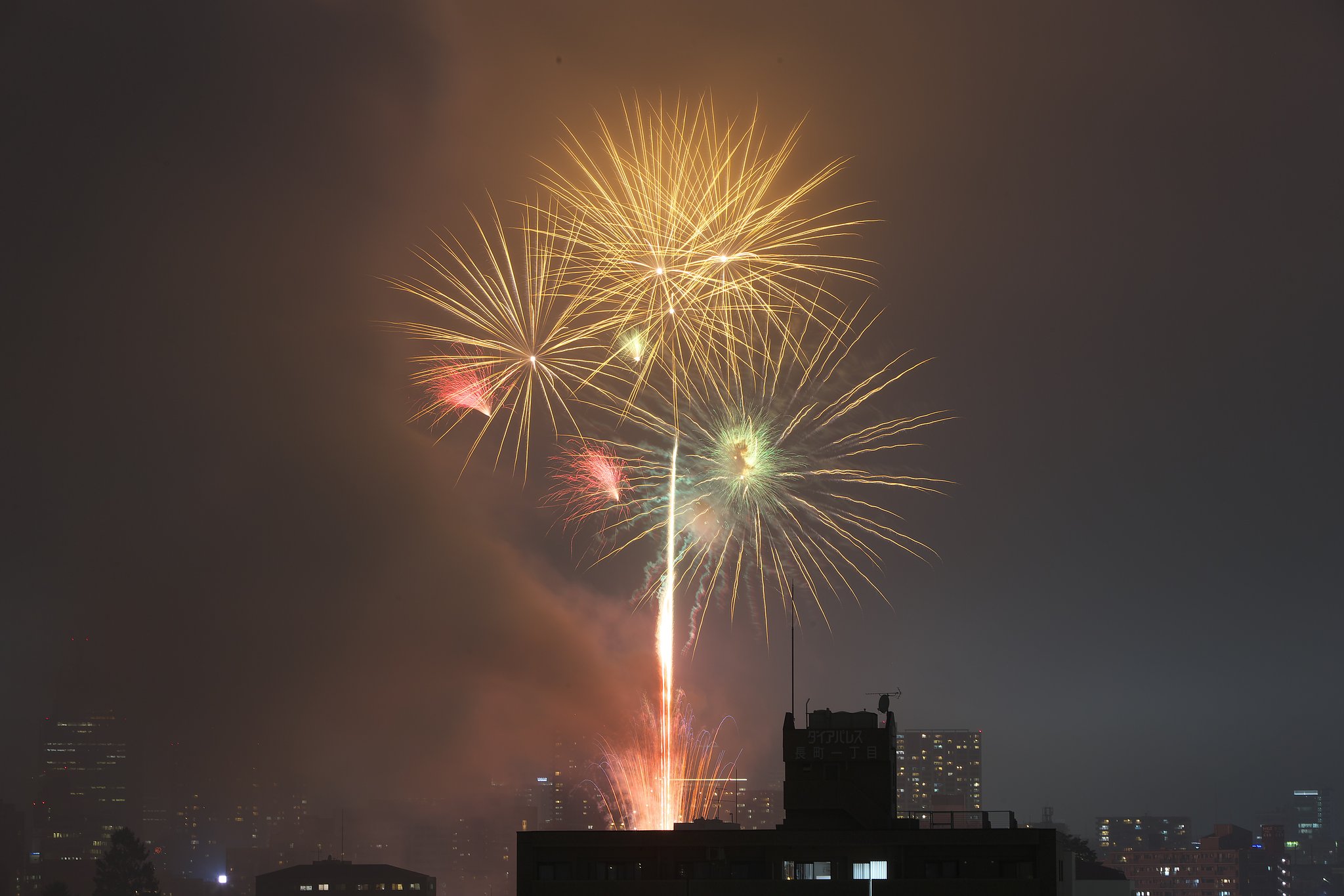 夏の夜の花