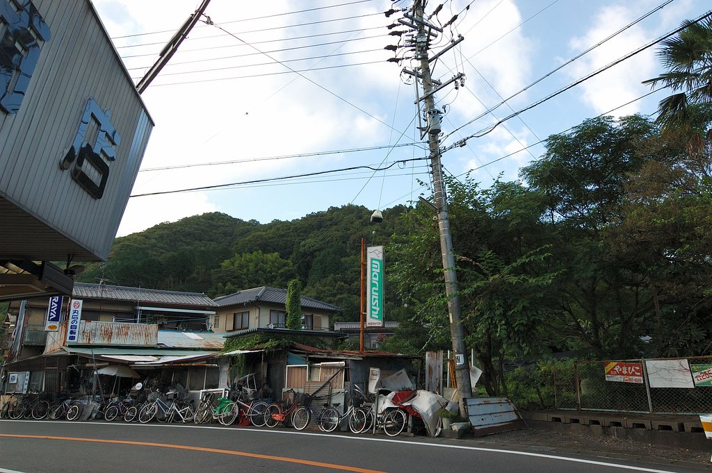 夏も終わり・・・