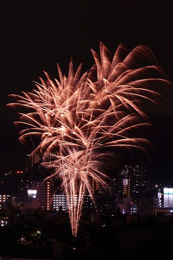 今年最初の花火撮影