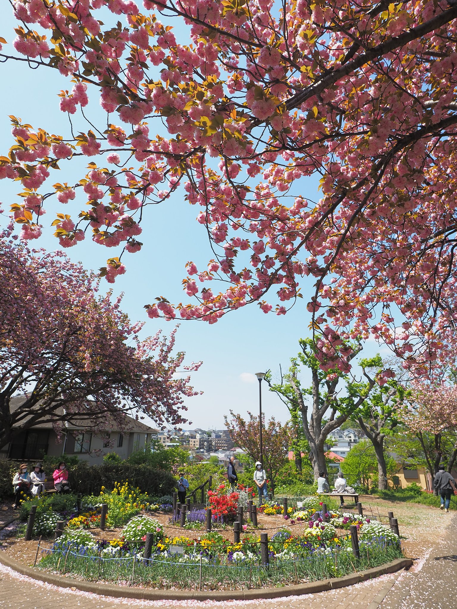 桜山公園にて