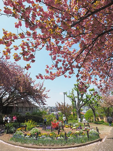 桜山公園にて