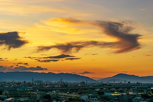 夕暮れドラゴン