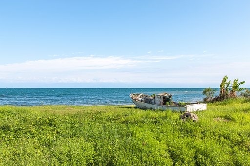 時の流れに身をまかせ