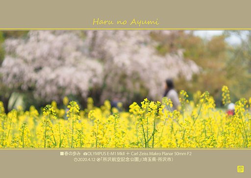 春のあゆみ