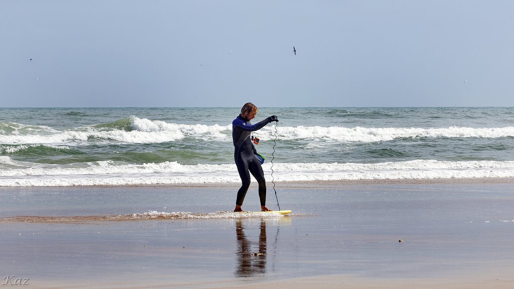 Surfer 5