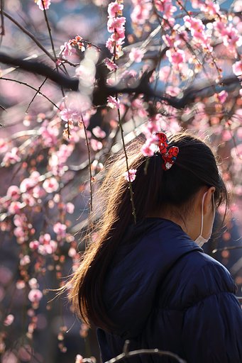 防府天満宮梅林にて