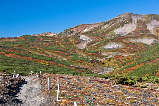 目指せ北鎮岳