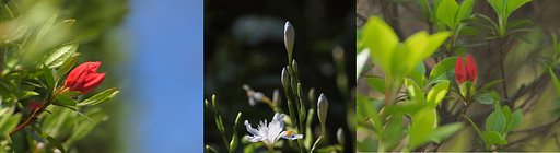 春、主役の舞台(2)